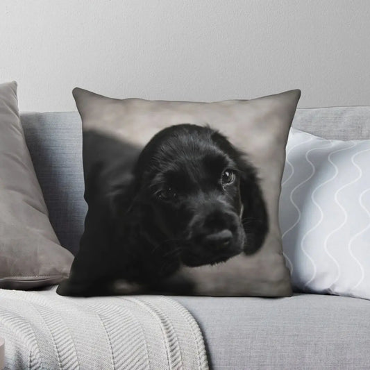 Cockeri tyynynpäällinen