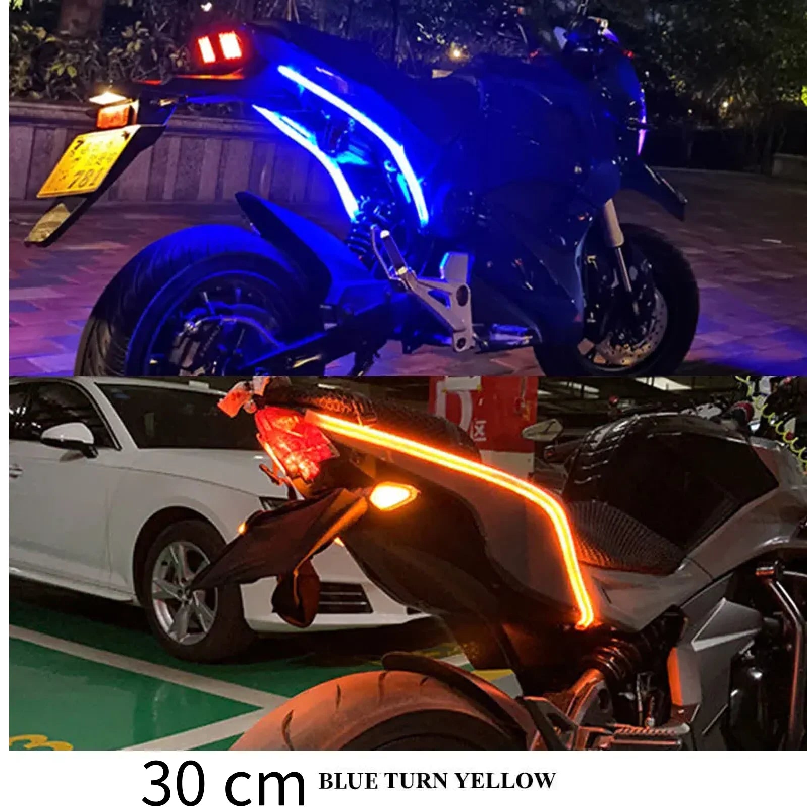 51129672859977